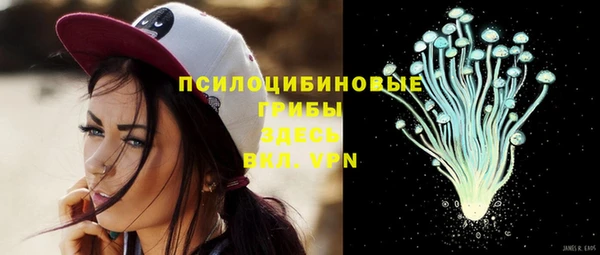 прущая мука Новозыбков