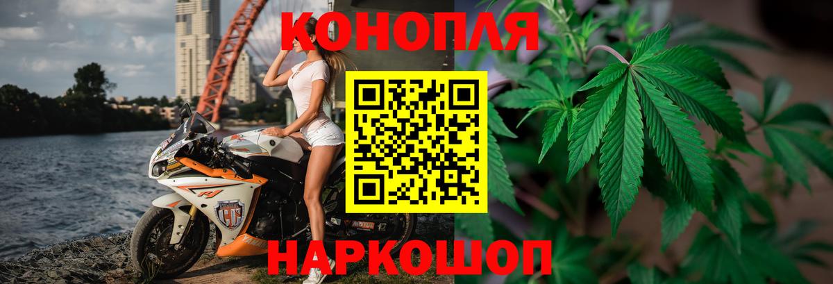 МЕФ Миллерово